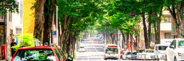 杉並編サムネイル