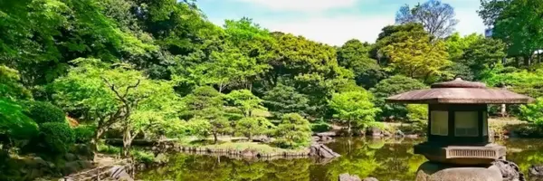 景観・地形・暗渠